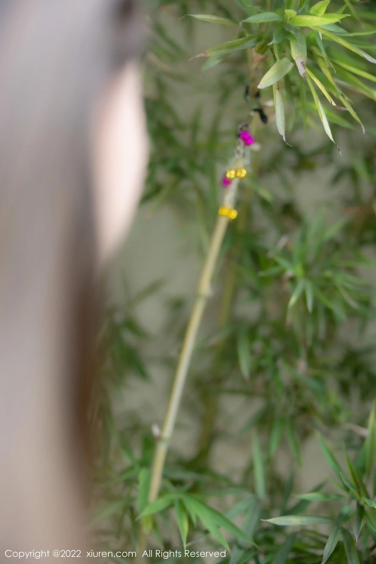 Xrmnw.Vip_豆瓣酱_写真